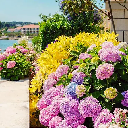 Lovely In With House Sea View Apartman *